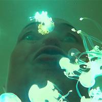 Test Tube | Bernadette Johnson